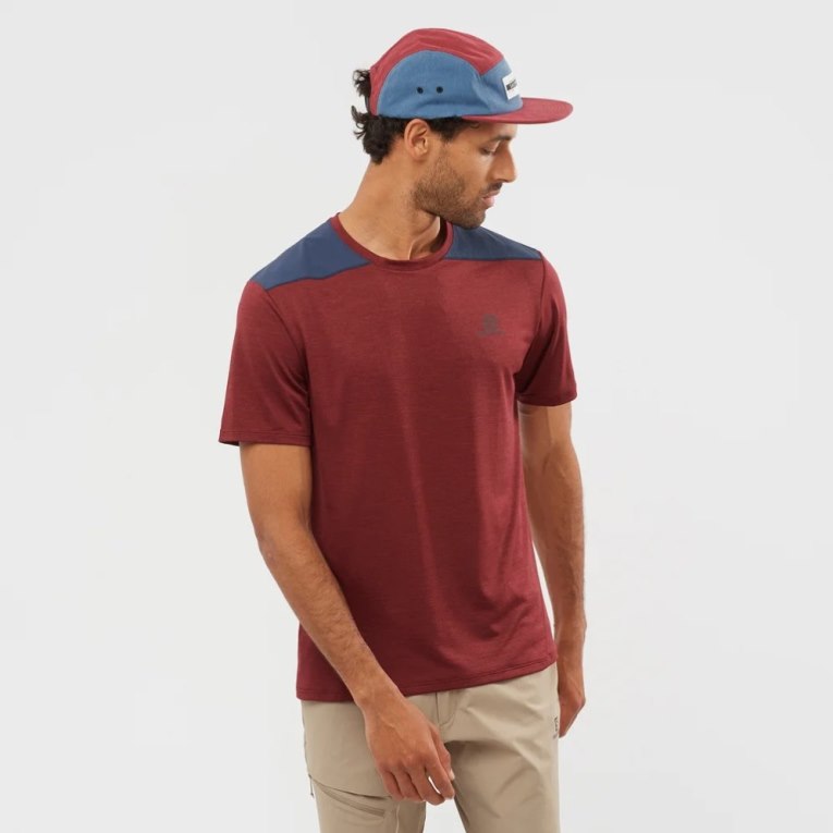 Dark Red / Navy Salomon Outline Short Sleeve Men\'s T-Shirts | PH 37065C